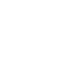 Dursonix | Joe Durso Custom Leslie Designs