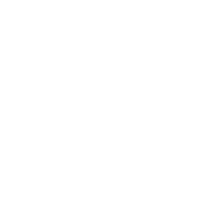 Dursonix | Joe Durso Custom Leslie Designs